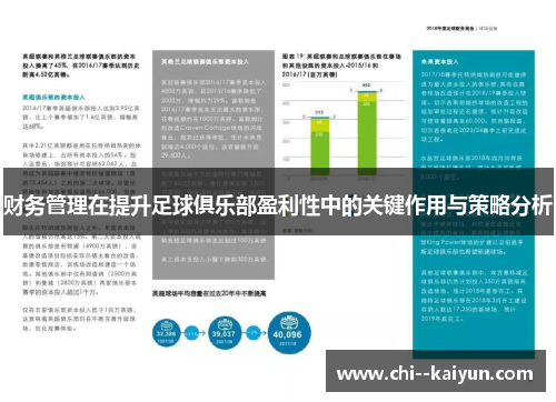 财务管理在提升足球俱乐部盈利性中的关键作用与策略分析 财务管理在提升足球俱乐部盈利性中的关键作用与策略分析