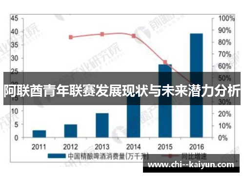 阿联酋青年联赛发展现状与未来潜力分析 阿联酋青年联赛发展现状与未来潜力分析