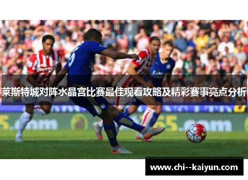 莱斯特城对阵水晶宫比赛最佳观看攻略及精彩赛事亮点分析 莱斯特城对阵水晶宫比赛最佳观看攻略及精彩赛事亮点分析