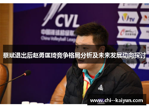 蔡斌退出后赵勇匡琦竞争格局分析及未来发展动向探讨